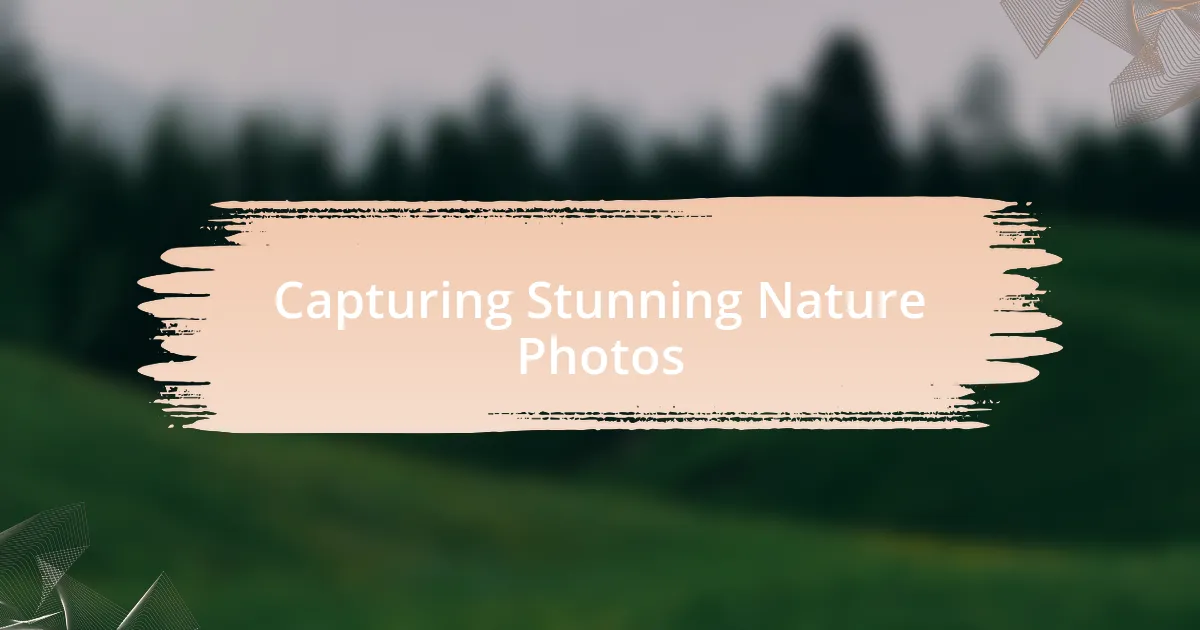 Capturing Stunning Nature Photos