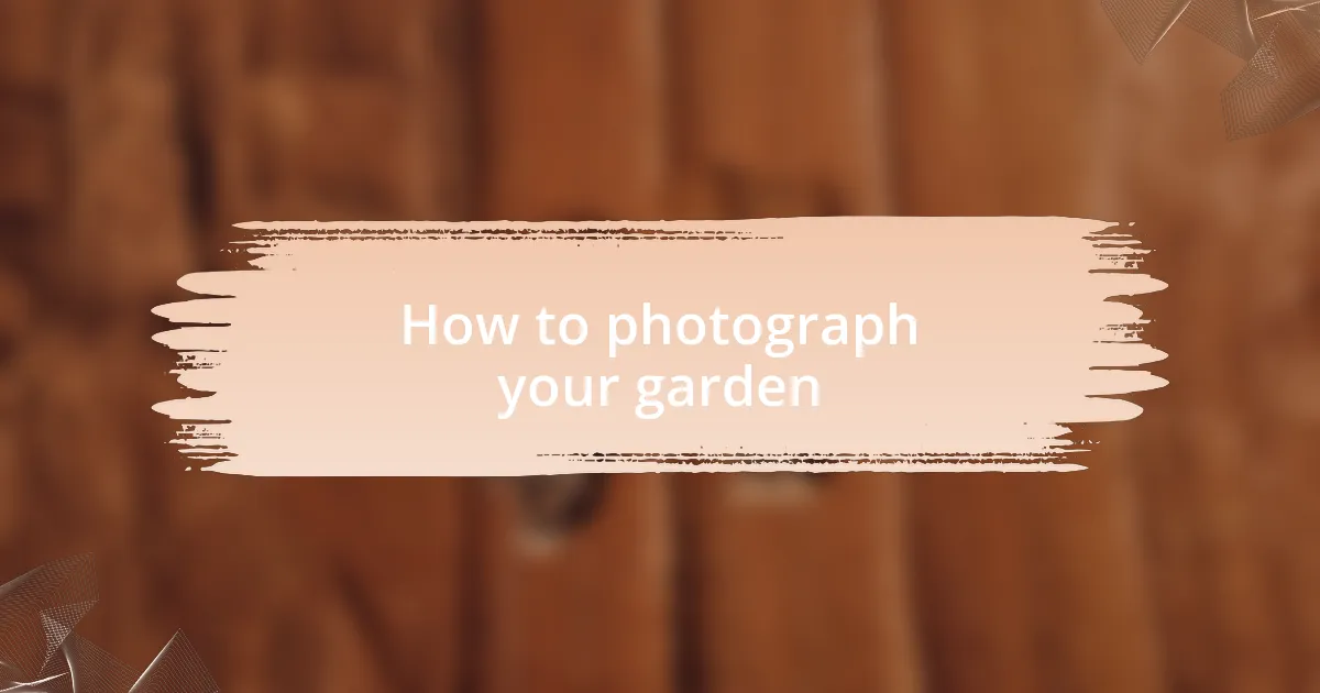 How to photograph your garden
