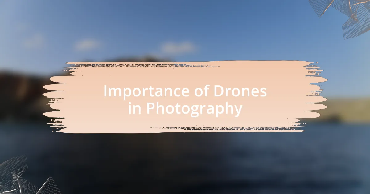 Importance of Drones in Photography