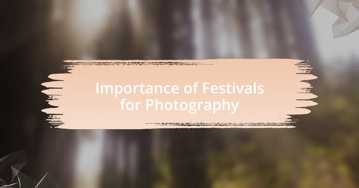 Importance of Festivals for Photography