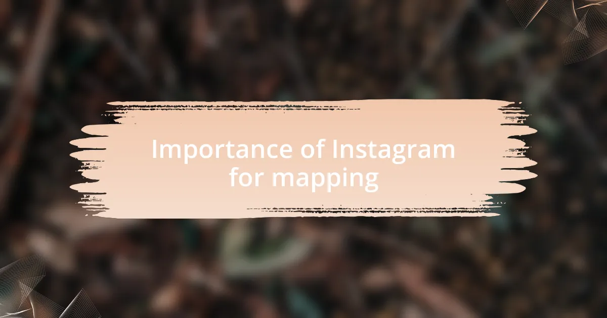 Importance of Instagram for mapping
