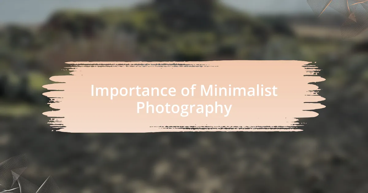 Importance of Minimalist Photography