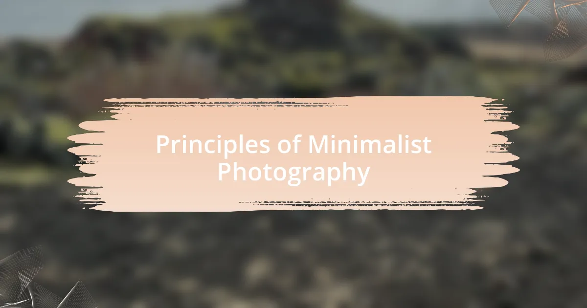 Principles of Minimalist Photography