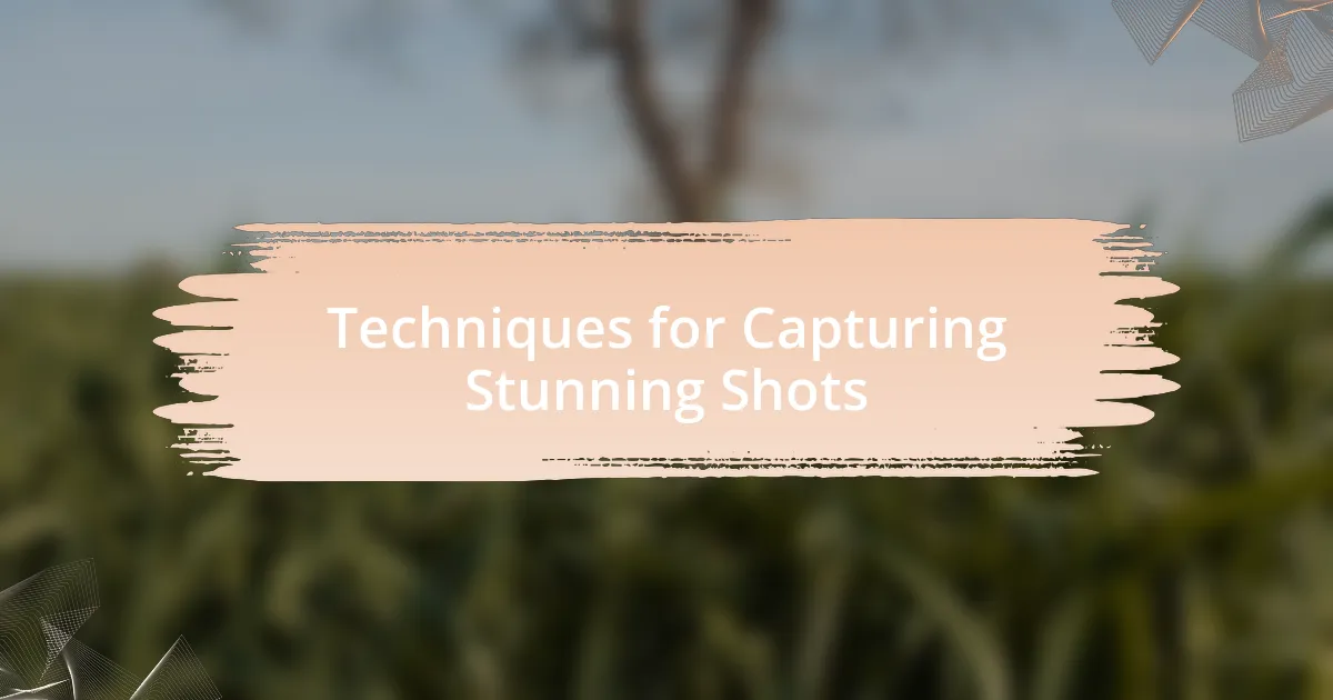 Techniques for Capturing Stunning Shots