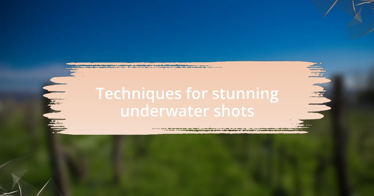 Techniques for stunning underwater shots