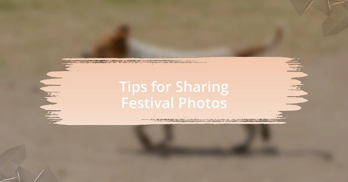 Tips for Sharing Festival Photos